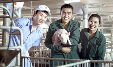 ก.แรงงาน ยกระดับคุณภาพแรงงานฟาร์มสุกร นำร่อง CPF ใช้แนวปฏิบัติสากล (GLP) เพิ่มศักยภาพสินค้าเกษตรไทย