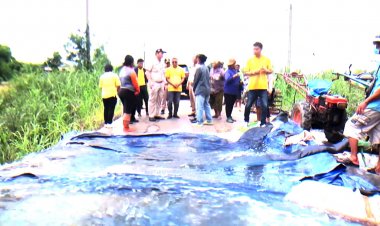 ชาวนาพิจิตรที่ลุ่มต่ำริมแม่น้ำยมครวญน้ำเหนือไหลบ่าท่วมนาข้าว