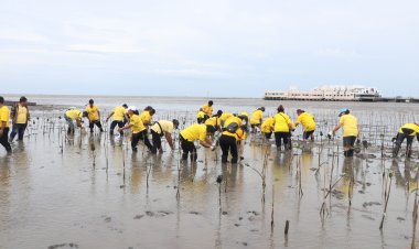 เทศบาลตำบลบางปูจัดกิจกรรมปลูกป่าชายเลนเฉลิมพระเกียรติในหลวง
