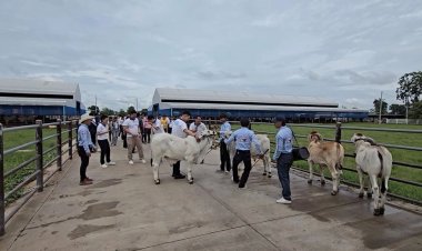 สร้างมูลค่าเพิ่ม "ดีจี แรนซ์" ฟาร์มวัวใหญ่ คลองขลุง ต่อยอดศูนย์เรียนรู้-ท่องเที่ยว