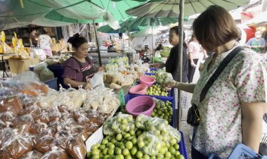 ฝนตกชุกผลผลิตเยอะมะนาวล้นตลาดราคาลดวูบเหลือลูกละ 1 บาท