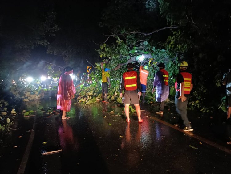 ฝนตกหนัก ลมแรง โค่นต้นไม้ใหญ่ล้มทับขวางถนน แม่สอด –แม่สะเรียง