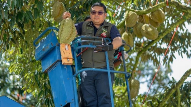 ตำบลทะเลทรัพย์เมืองชุมพร ต้นแบบแปลงใหญ่ทุเรียน แหล่งผลิตผลคุณภาพ