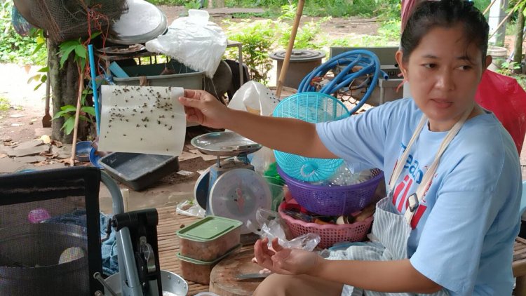 คนนนทรีกบินทร์บุรีเดือดร้อนหนักแมลงวันจากฟาร์มไก่บุกยึดบ้านผวาแพร่เชื้อโรค
