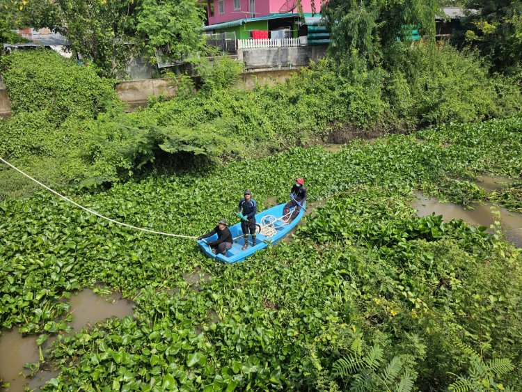 เทศบาลเมืองชัยภูมิบูรณาการเร่งลอกคลองกำจัดสนมป้องกันน้ำท่วม