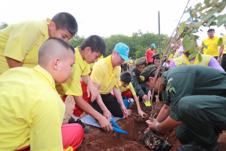 ตำรวจไซเบอร์ ชวนเด็กเขาใหญ่ กว่า 1000 คน ปลูกป่า 72 พรรษา ในหลวง