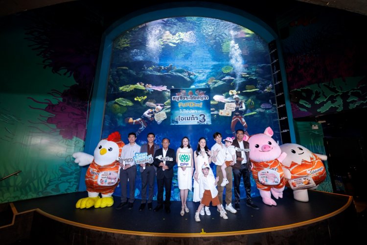 U FARM เปิดประสบการณ์ ‘หมูชีวา-ไก่เบญจา FUN DIVE!’ ไม่ใช่ปลา แต่มีโอเมก้า 3