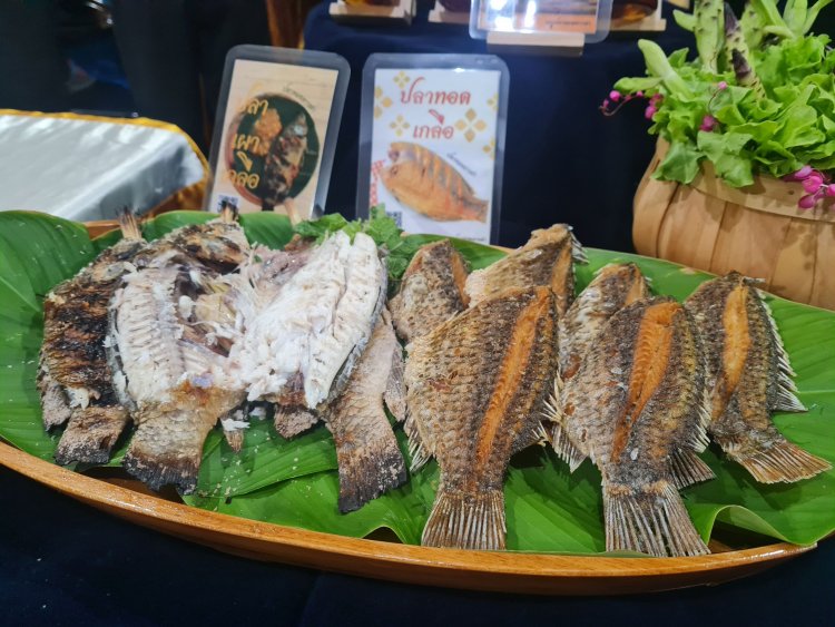 เปิดมาตรการสกัดปลาหมอคางดำระบาด ส่งปลานักล่า - รับซื้อกิโลละ 15 บาท ทำปลาส้ม ปลาป่น