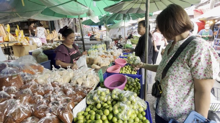 ฝนตกชุกผลผลิตเยอะมะนาวล้นตลาดราคาลดวูบเหลือลูกละ 1 บาท