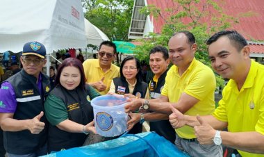 ซีพีเอฟ มอบปลานักล่าให้ประมงจังหวัดสมุทรสาคร-อุปกรณ์จับปลาแก่ประมงจังหวัดนครปฐมจับปลาหมอคางดำ