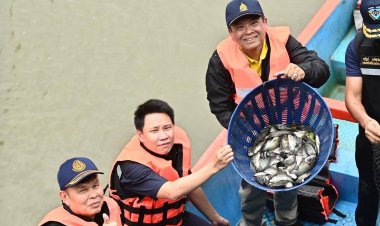 กรมประมงเปิดรับซื้อปลาหมอคางดำ 75 จุด ทั่วพื้นที่การระบาด  กิโลละ 15 บาท