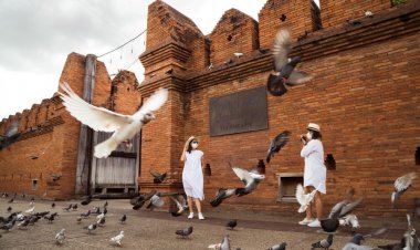 'รมว.เสริมศักดิ์'ดัน 2 โครงการ Quick Win กระตุ้นท่องเที่ยวผ่าน 9 แพลตฟอร์ม สร้างเงินหมุนเวียนไม่ต่ำกว่า 17,000 ล้านบาท