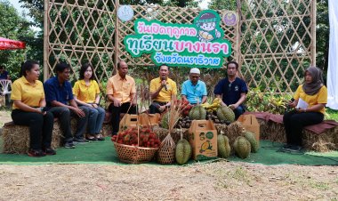 นราธิวาส เปิดฤดูกาลทุเรียนบางนรา การันตรีสินค้าคุณภาพมาตรฐาน GAP