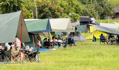 หยุดยาว 3 วัน แห่นอนกางเต็นท์ ชมดาว ส่องกระทิงป่า สัมผัสไอหมอกวังน้ำเขียว