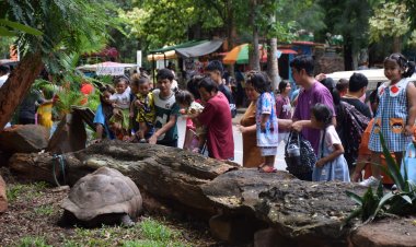 แม่จูงลูกเที่ยวสวนสัตว์โคราชคึกคักรับหยุดยาววันแม่แห่งชาติ