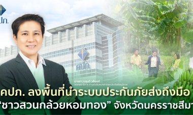 คปภ. ลงพื้นที่นำระบบประกันภัยส่งถึงมือ “ชาวสวนกล้วยหอมทอง”จังหวัดนครราชสีมา