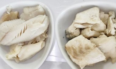 ปลาหมอคางดำ กินได้ ให้โปรตีน เป็นอีกวิธีช่วยกำจัดที่เห็นผล