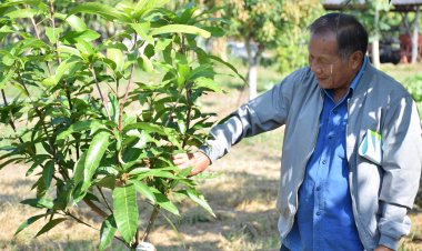 “สวนคุณช้าง” ยืนหนึ่ง GAP ดีเด่นภาคเหนือ การันตีผลผลิต สร้างรายได้หลักล้าน