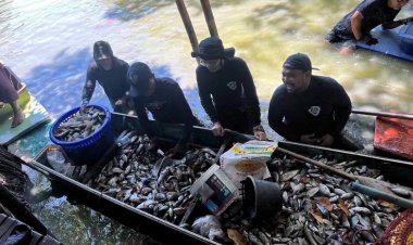 มติ ครม.อนุมัติงบ 450 ล้านให้กรมประมง กำจัดปลาหมอคางดำ ยกเป็น "วาระแห่งชาติ"