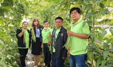 จากปรับโครงสร้างสู่ทางแก้หนี้สหกรณ์ฯเมืองเก่า เพาะเลี้ยงไม้ดอกเพิ่มรายได้ทางรอดสมาชิก
