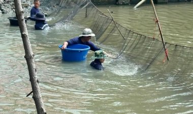 ซีพีเอฟ ผนึก นักวิชาการ ร่วมกำจัด “ปลาหมอคางดำ" ทุกมิติ