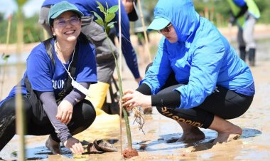 ซีพีเอฟ ปล่อยปูม้า 20 ล้านตัว ปลูกต้นโกงกาง สร้างความมั่นคงทางอาหารให้ชาวชุมพร