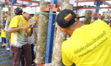 ยะลาเพิ่มทักษะการกรีดยางชาวสวนอย่างมืออาชีพได้ผลผลิตน้ำยางมากที่สุด