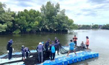 ประมงสมุทรสาครผนึกซีพีเอฟ ลุยจับปลาหมอคางดำ เผยร่วม 12 จังหวัดจับได้กว่าหมื่นกิโลกรัม
