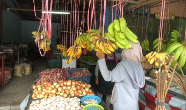 กล้วยน้ำว้าเมืองเบตงแพงเหตุช่วงเม.ย.-พ.ค.อากาศร้อนแห้งแล้ง ต้นกล้วยตาย