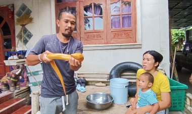 สุดแปลก! ปลาไหลสีทองไซส์เกือบโล กลืนเบ็ดสองวัน คายออกคืน ไม่ระคายท้อง