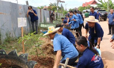 ขอนแก่นทำเท่ห์ ขอนแก่นปลูกต้นฝรั่ง ริม 2 ฝากฝั่งถนนมีผล ผู้คนรักกัน ปันสุข