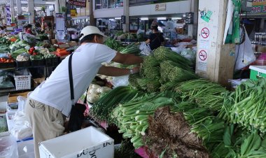 ผักราคาขยับหลังน้ำท่วมเหนือ-กลาง แหล่งปลูกใหญ่ ผลผลิตเสียหาย