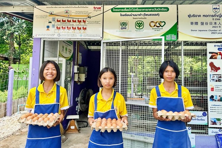 เลี้ยงไก่ไข่เป็นอาหารกลางวัน “รร.บ้านนาคำ นครพนม”สอนนักเรียนร่วมสร้างความมั่นคงทางอาหารในโรงเรียน สู่คลังอาหารชุมชน