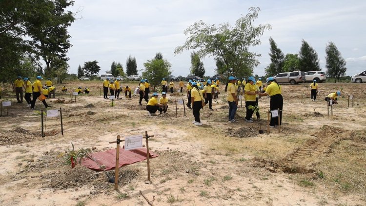 พลังจิตอาสาโคราชปลูกต้นไม้ 1,000 ต้น - กำจัดผักตบชวาในลำตะคอง
