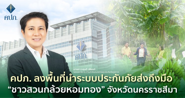 คปภ. ลงพื้นที่นำระบบประกันภัยส่งถึงมือ “ชาวสวนกล้วยหอมทอง”จังหวัดนครราชสีมา
