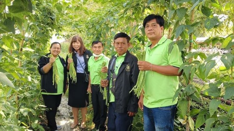 จากปรับโครงสร้างสู่ทางแก้หนี้สหกรณ์ฯเมืองเก่า เพาะเลี้ยงไม้ดอกเพิ่มรายได้ทางรอดสมาชิก