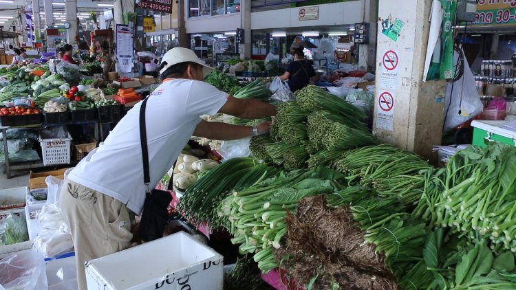 ผักราคาขยับหลังน้ำท่วมเหนือ-กลาง แหล่งปลูกใหญ่ ผลผลิตเสียหาย