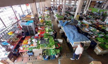 ราคาผักยะลาพุ่งรับน้ำท่วม-ปลูกไม่ทัน ขยับจาก 90 เป็น 150 บาท/กก.