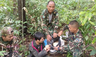 เจ้าหน้าที่ป่าไม้จับแก๊งมอดไม้ลอบตัดไม้หอมเกรด A บนเขาใหญ่