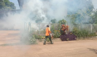 ไข้เลือดออกปีนี้ 4 จว. อีสานล่าง ป่วย 4,812 ราย ตาย 8 โคราชมากสุด 2,507 ราย ตาย 2