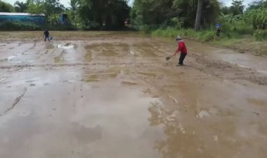 โรคฉี่หนูระบาดหนัก 4 จว.อีสานใต้ ป่วยพุ่ง 98 ราย ตายแล้ว 2 ศพ