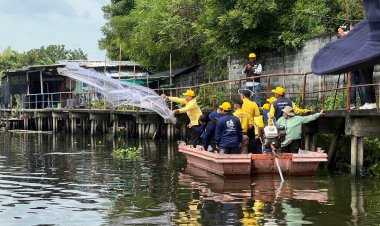 ซีพีเอฟ หนุนกรมประมงเดินหน้าปฏิบัติการจับปลาหมอคางดำในนครศรีธรรมราช และนนทบุรี