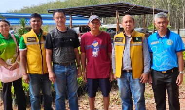 ปชป.ร่วม พท. เป็นรัฐบาล ส่งผล ปชป.กระทบคะแนนพรรคไม่สามารถยึดภาคใต้เป็นหัวหาดได้