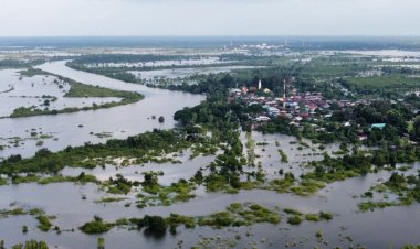 น้ำโขงเอ่อล้นท่วมท่าบ่อ นครพนมคน-สัตว์เลี้ยงเดือดร้อนหนัก