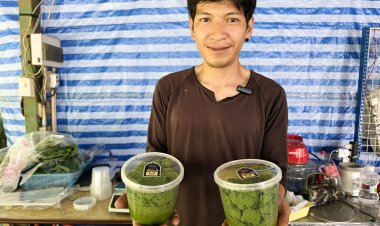 หนุ่มยะลาเลิกอาชีพฟรีแลนซ์กลับบ้านเกิดเพาะไข่ผำขายสร้างรายได้งาม