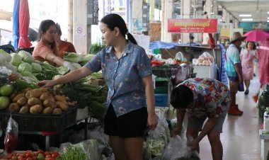 ผักแพงไม่เกี่ยวใกล้เทศกาลกินเจต้นเหตุน้ำท่วมภาคเหนือแหล่งปลูกรายใหญ่