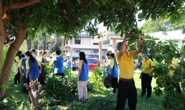 ชาวอำนาจเจริญพร้อมใจทำความดี ทำความสะอาด ปรับภูมิทัศน์เมือง เนื่องในวันมหิดล