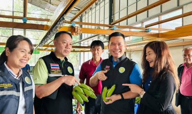 โมเดล 1 ท้องถิ่น 1 สินค้าเกษตรมูลค่าสูง ปี'67 บรรลุเป้า 100 ตำบล นำร่อง 144 กลุ่มสินค้า