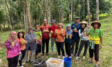 เกษตรฯวางเป้าพัฒนาลองกองตันหยงมัส อัตลักษณ์นราธิวาส สร้างมูลค่าเพิ่ม