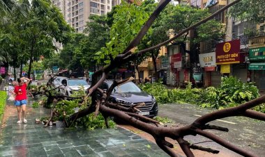 พิษ‘ไต้ฝุ่นยางิ’ถล่มเวียดนามทำเศรษฐกิจเสียหายหนักกว่า 107,000 ล้านบาท